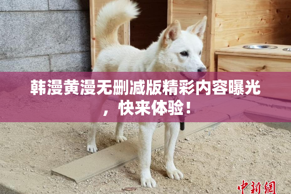 韩漫黄漫无删减版精彩内容曝光，快来体验！