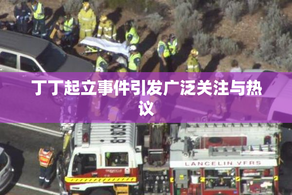 丁丁起立事件引发广泛关注与热议