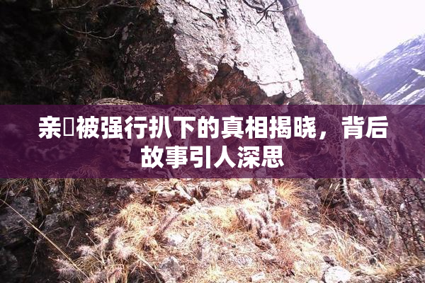 亲妺被强行扒下的真相揭晓，背后故事引人深思