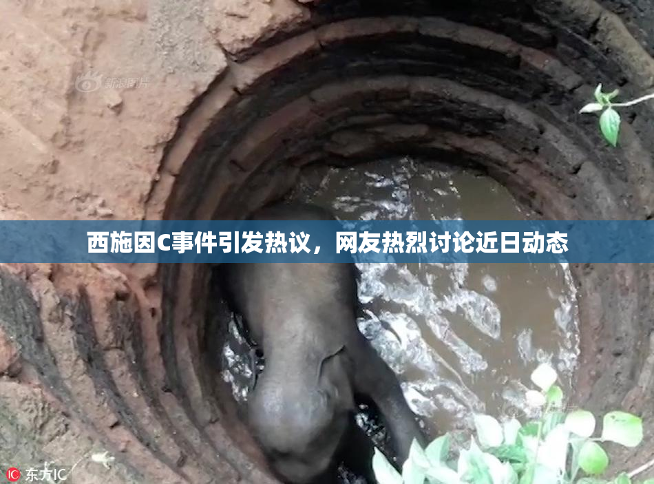 西施因C事件引发热议，网友热烈讨论近日动态