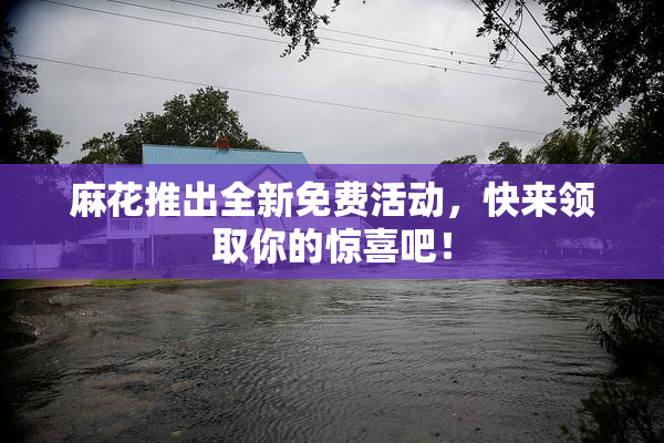 麻花推出全新免费活动，快来领取你的惊喜吧！