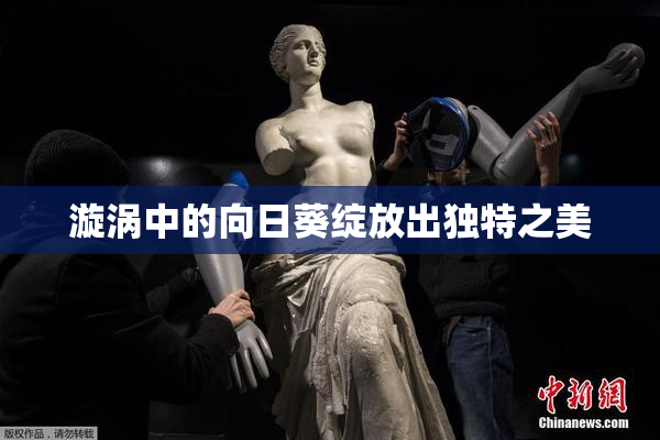 漩涡中的向日葵绽放出独特之美