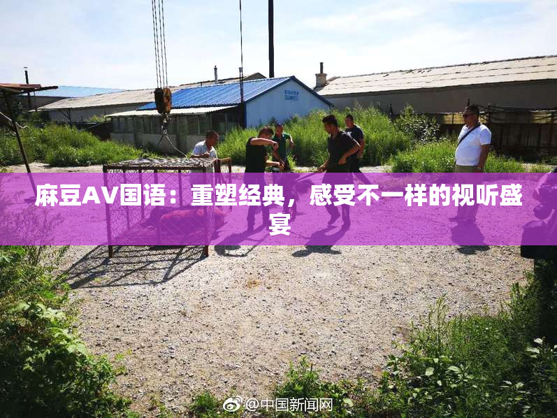 麻豆A∨国语：重塑经典，感受不一样的视听盛宴