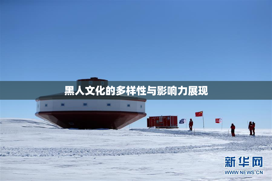 黑人文化的多样性与影响力展现