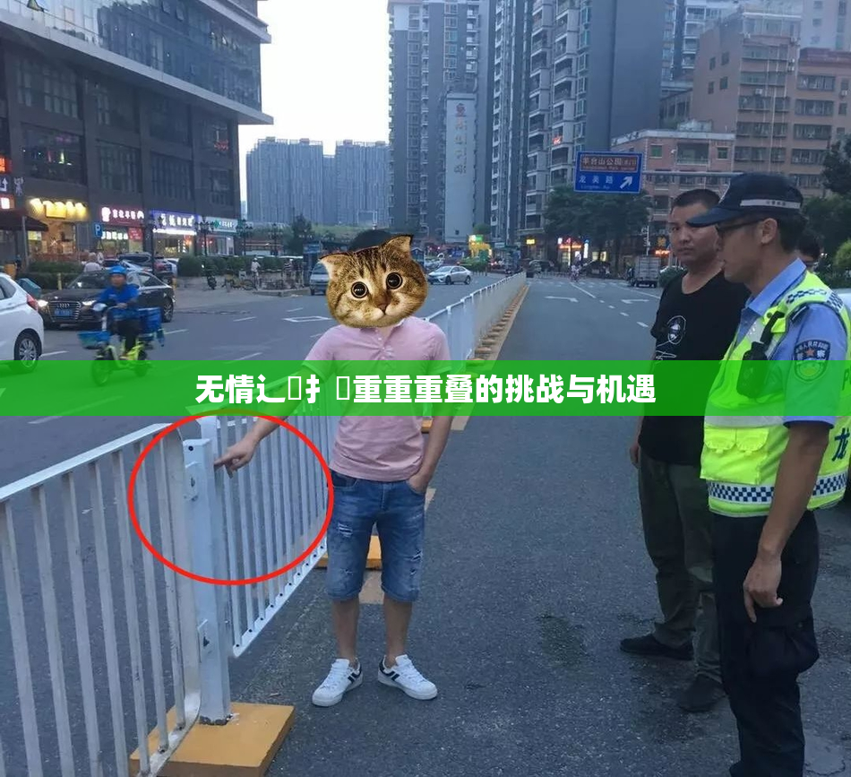 无情辶喿扌畐重重重叠的挑战与机遇