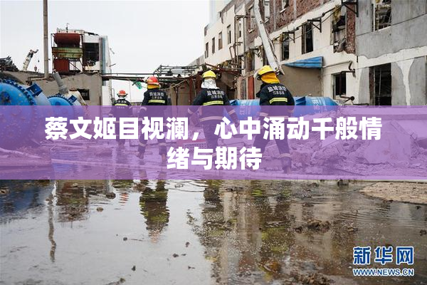 蔡文姬目视澜，心中涌动千般情绪与期待