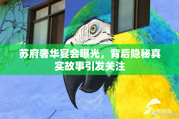 苏府奢华宴会曝光，背后隐秘真实故事引发关注