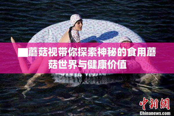 ▇蘑菇视带你探索神秘的食用蘑菇世界与健康价值
