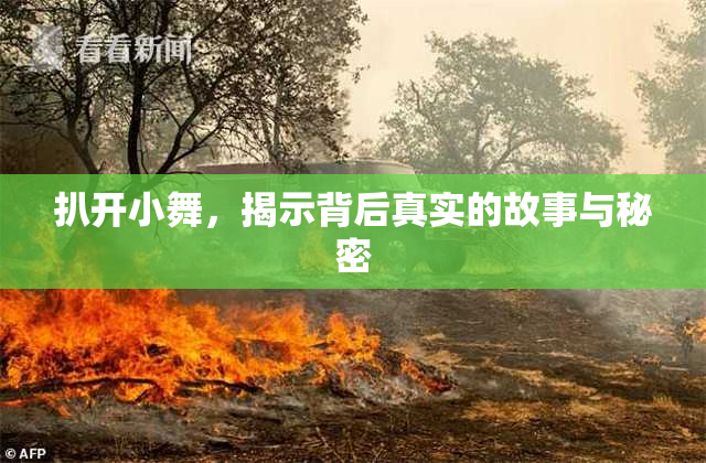 扒开小舞，揭示背后真实的故事与秘密
