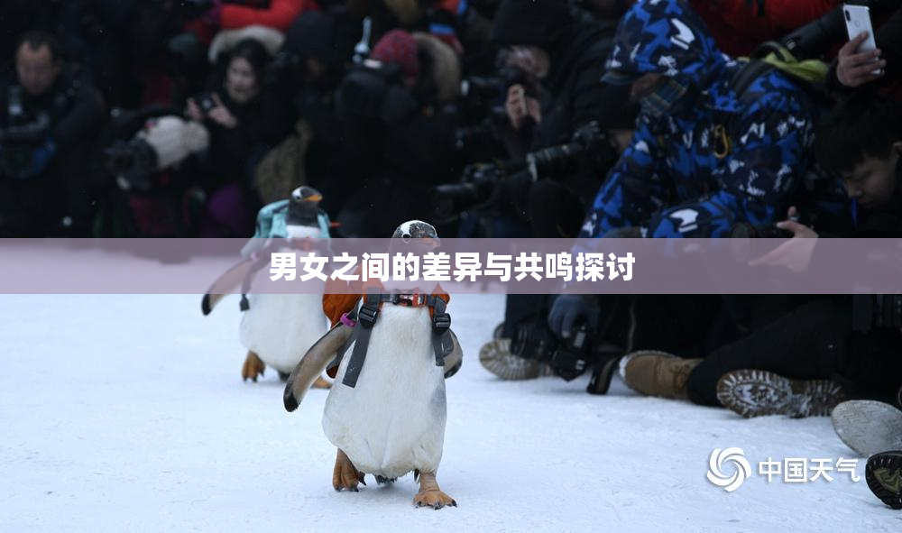 男女之间的差异与共鸣探讨