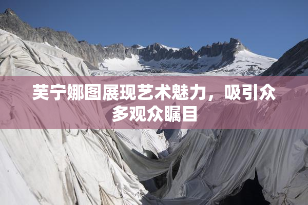 芙宁娜图展现艺术魅力，吸引众多观众瞩目