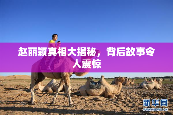 赵丽颖真相大揭秘，背后故事令人震惊