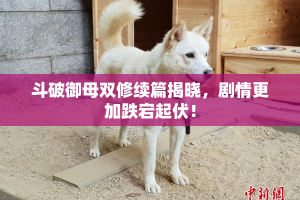 斗破御母双修续篇揭晓，剧情更加跌宕起伏！