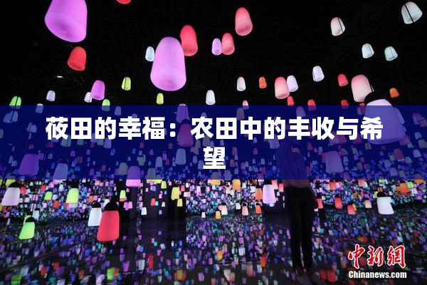 莜田的幸福：农田中的丰收与希望
