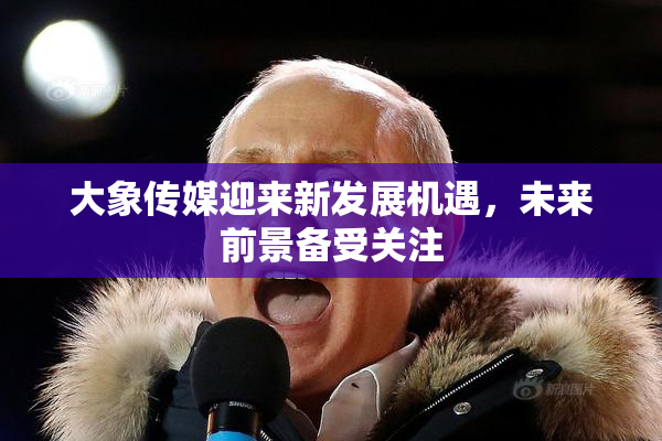 大象传媒迎来新发展机遇，未来前景备受关注