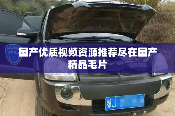 国产优质视频资源推荐尽在国产精品毛片
