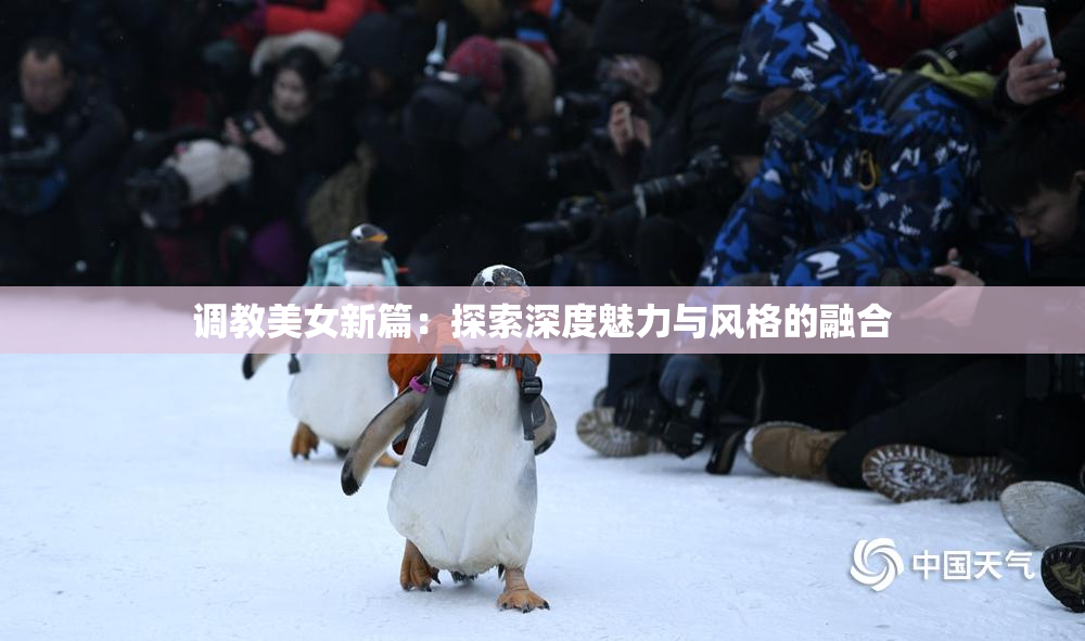 调教美女新篇：探索深度魅力与风格的融合