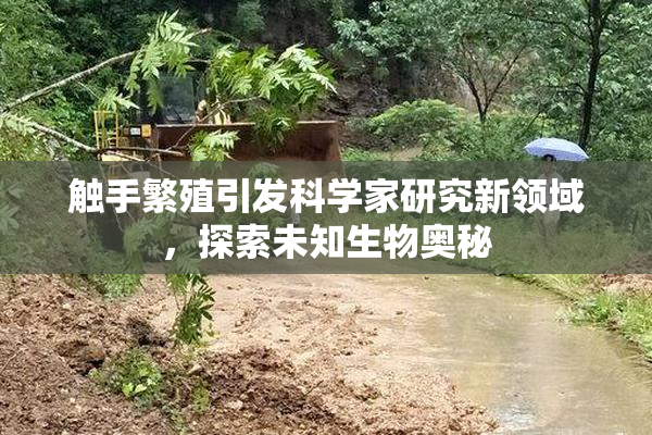 触手繁殖引发科学家研究新领域，探索未知生物奥秘