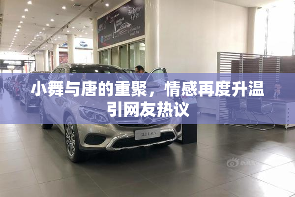 小舞与唐的重聚，情感再度升温引网友热议