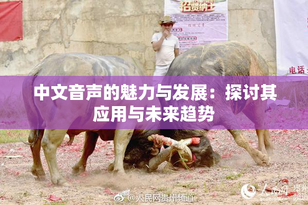 中文音声的魅力与发展：探讨其应用与未来趋势