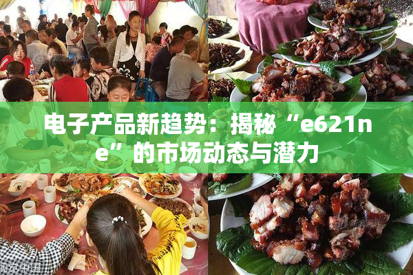 电子产品新趋势：揭秘“e621ne”的市场动态与潜力