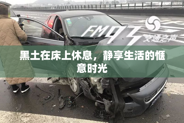 黑土在床上休息，静享生活的惬意时光