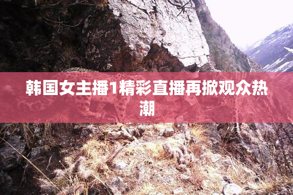 韩国女主播1精彩直播再掀观众热潮