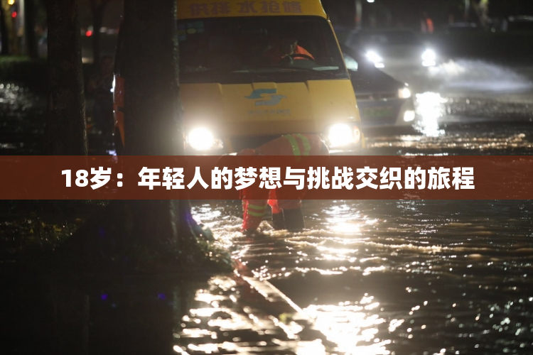 18岁：年轻人的梦想与挑战交织的旅程