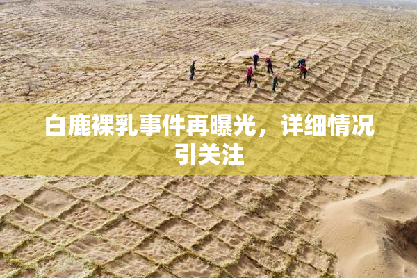 白鹿裸乳事件再曝光，详细情况引关注