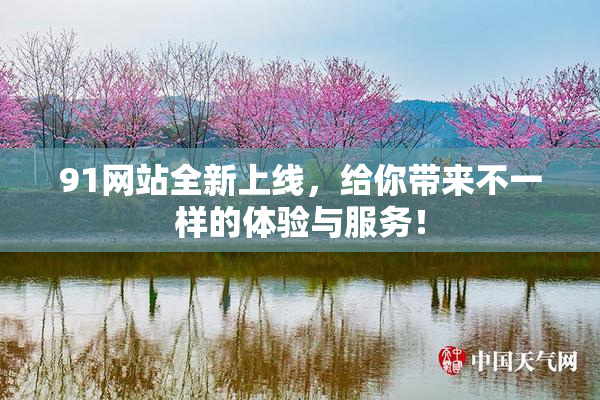 91网站全新上线，给你带来不一样的体验与服务！
