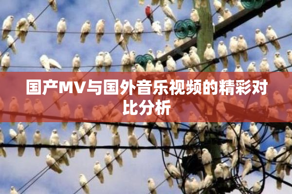 国产MV与国外音乐视频的精彩对比分析