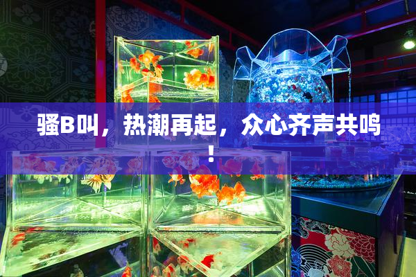 骚B叫，热潮再起，众心齐声共鸣！