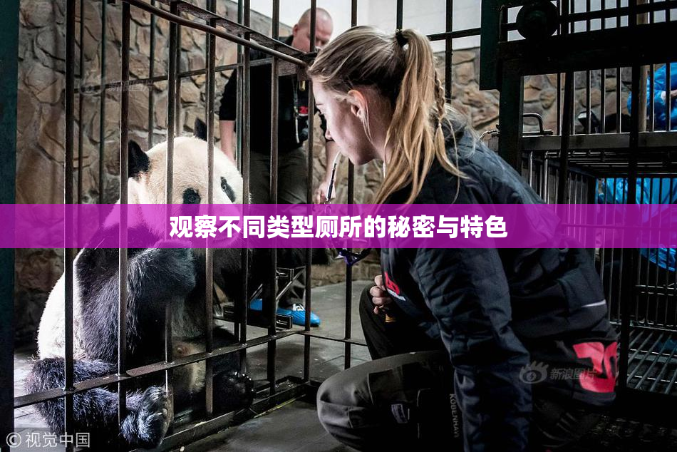 观察不同类型厕所的秘密与特色