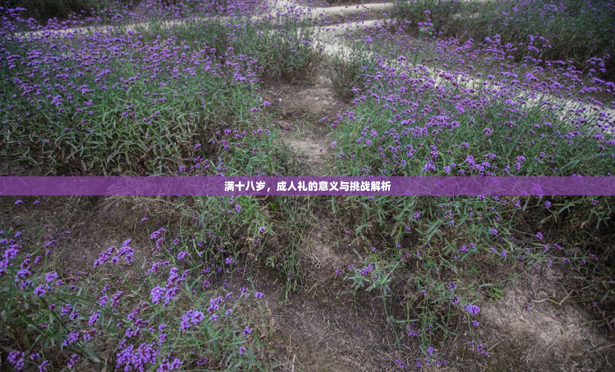 满十八岁，成人礼的意义与挑战解析