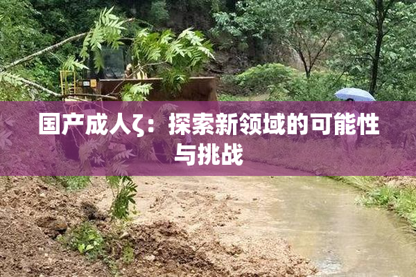 国产成人ζ：探索新领域的可能性与挑战