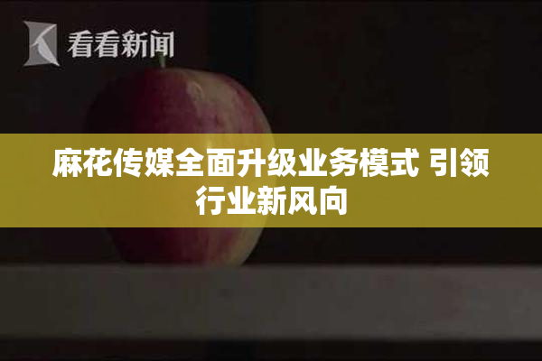 麻花传媒全面升级业务模式 引领行业新风向