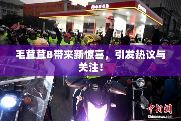 毛茸茸B带来新惊喜，引发热议与关注！