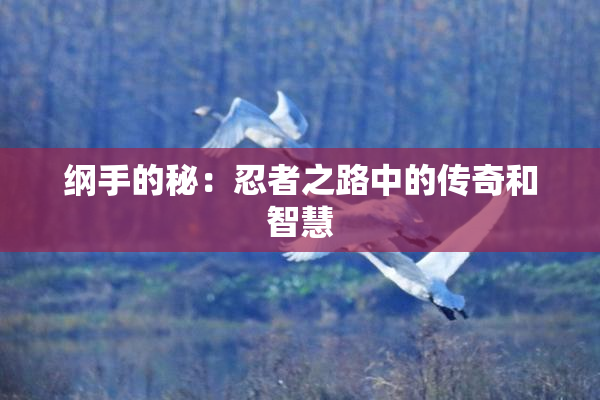 纲手的秘：忍者之路中的传奇和智慧
