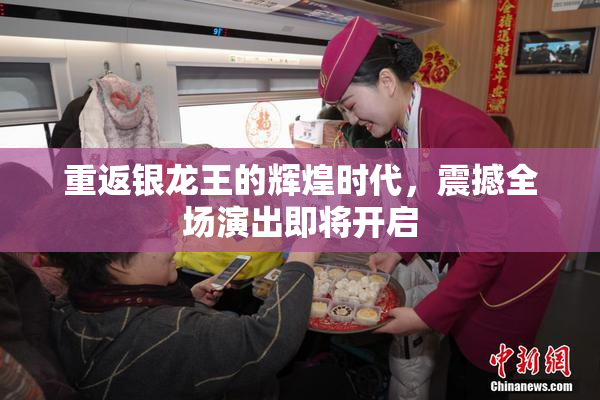 重返银龙王的辉煌时代，震撼全场演出即将开启