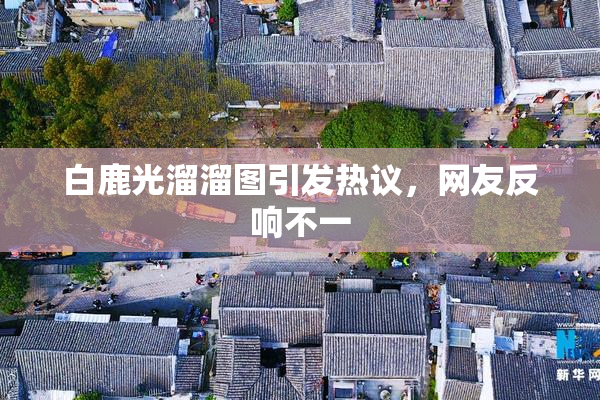 白鹿光溜溜图引发热议，网友反响不一