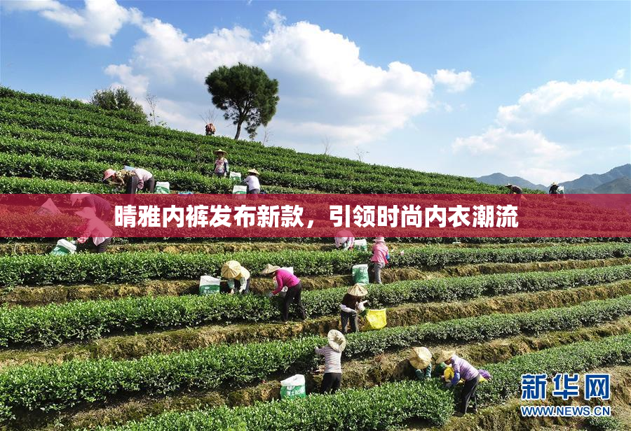 晴雅内裤发布新款，引领时尚内衣潮流