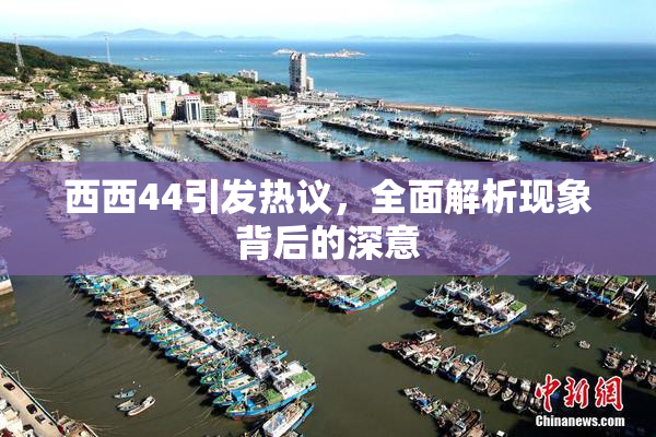 西西44引发热议，全面解析现象背后的深意