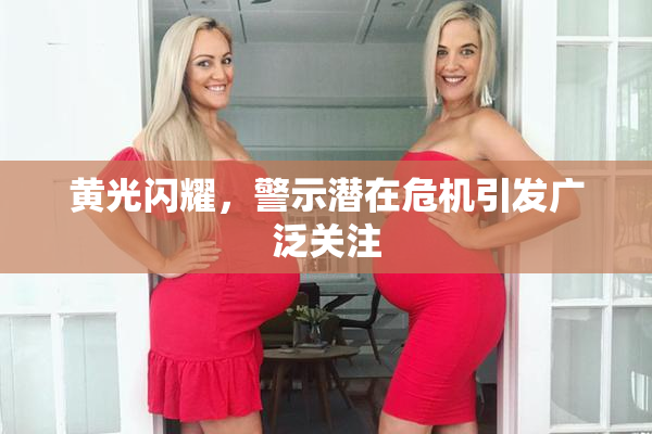 黄光闪耀，警示潜在危机引发广泛关注