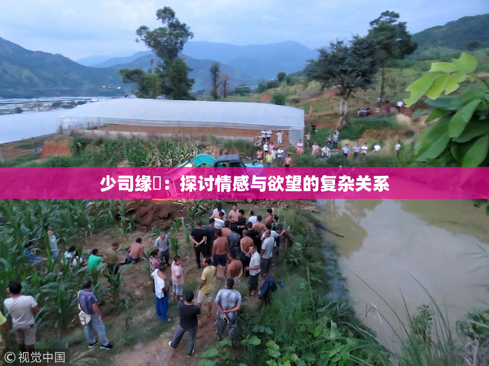 少司缘婬：探讨情感与欲望的复杂关系
