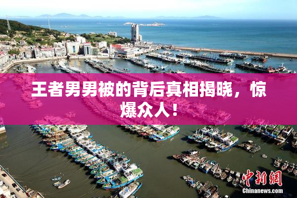 王者男男被的背后真相揭晓，惊爆众人！
