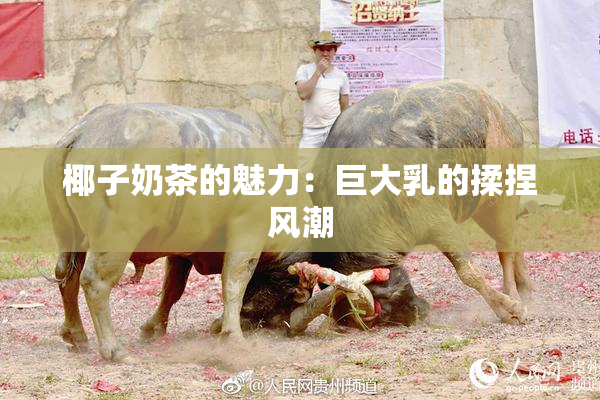 椰子奶茶的魅力：巨大乳的揉捏风潮