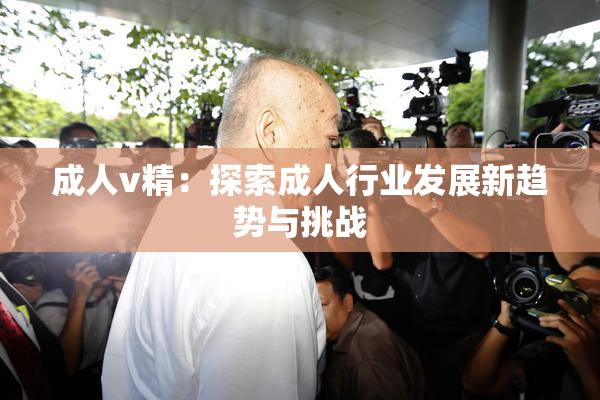 成人v精：探索成人行业发展新趋势与挑战