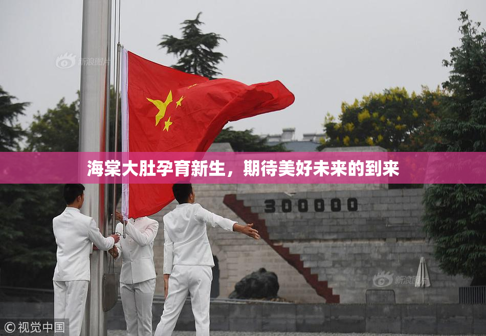 海棠大肚孕育新生，期待美好未来的到来
