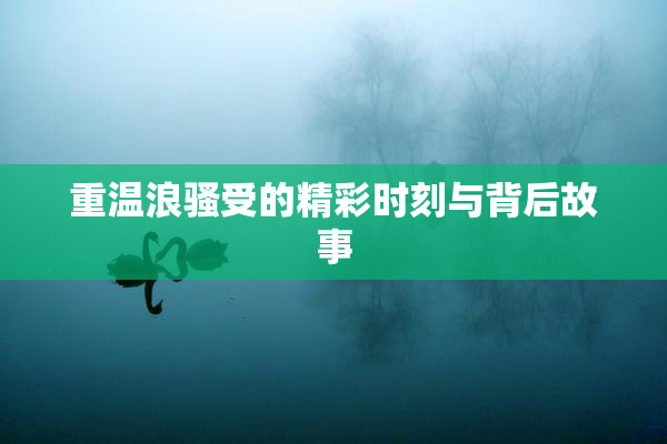 重温浪骚受的精彩时刻与背后故事