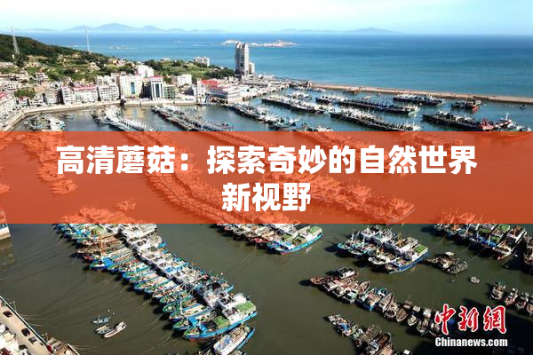 高清蘑菇：探索奇妙的自然世界新视野